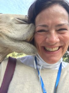 #CamelKiss