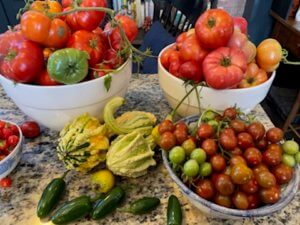 Tomatoes and squash